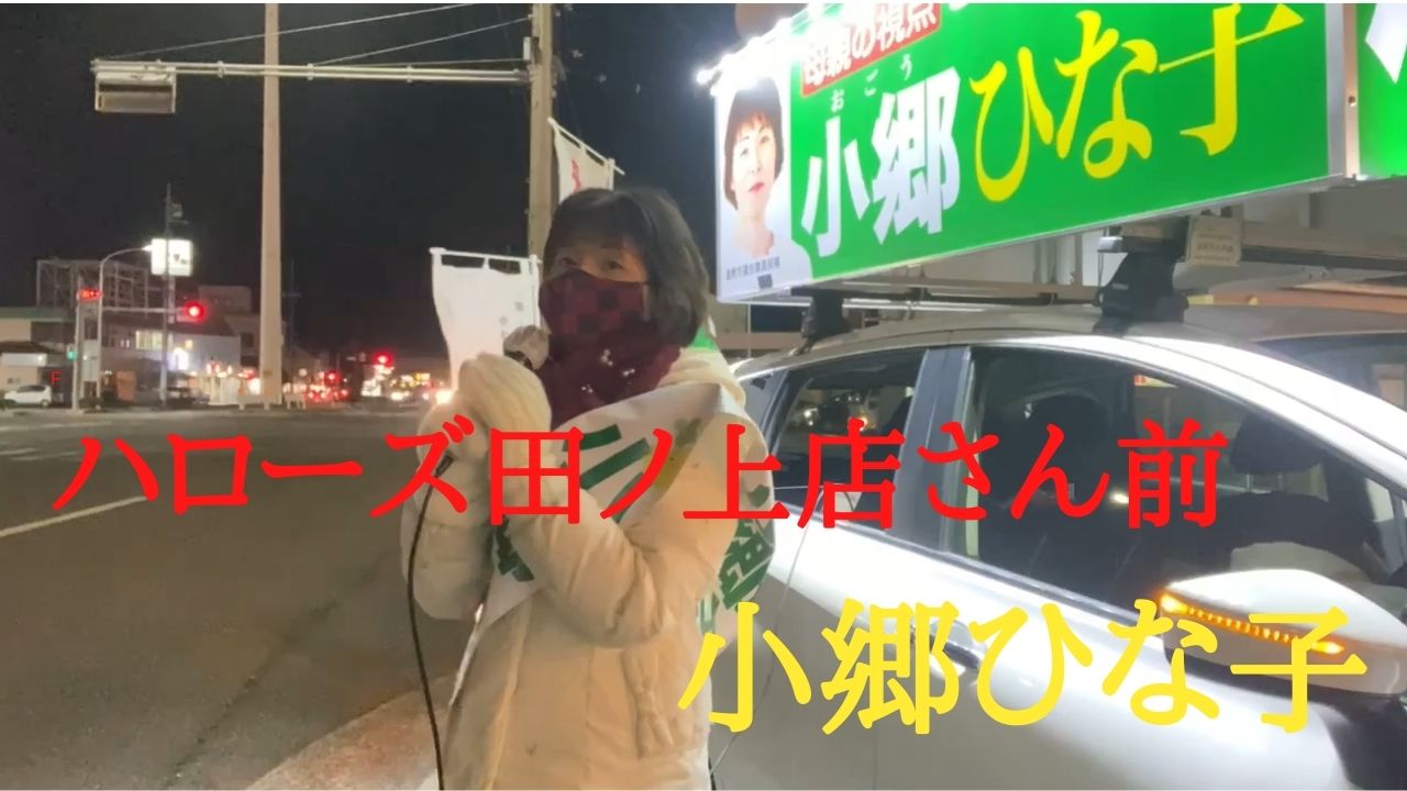倉敷市議会議員選挙21の立候補者 ハローズ田ノ上店さん前で街頭演説 小郷ひな子 オゴウヒナコ 選挙ドットコム