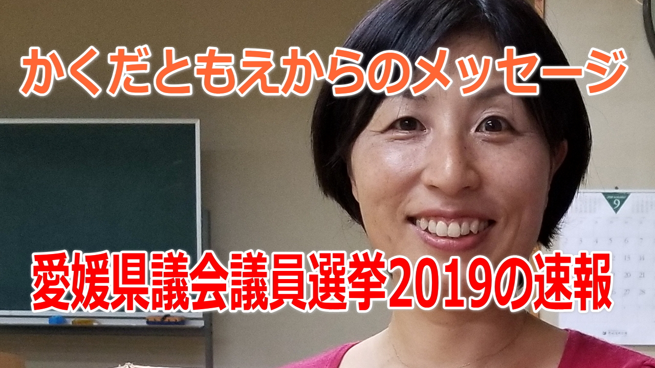 愛媛県議会議員選挙19の選挙速報について 統一地方選 松山の選挙 いしいともえ イシイトモエ 選挙ドットコム