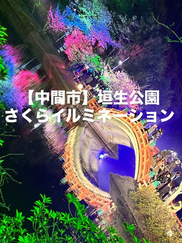 幻想的なさくらイルミネーションで春を感じよう！