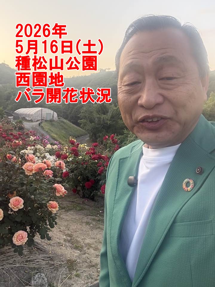 【倉敷市議会議員】