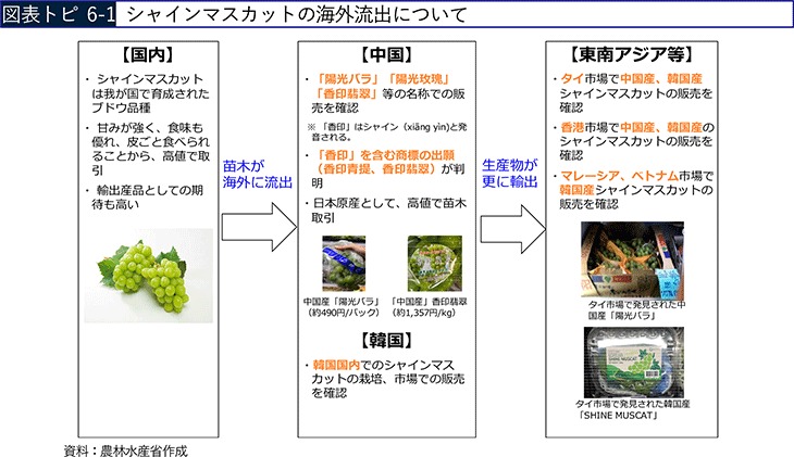 トピックス6 植物新品種の海外流出対策:農林水産省