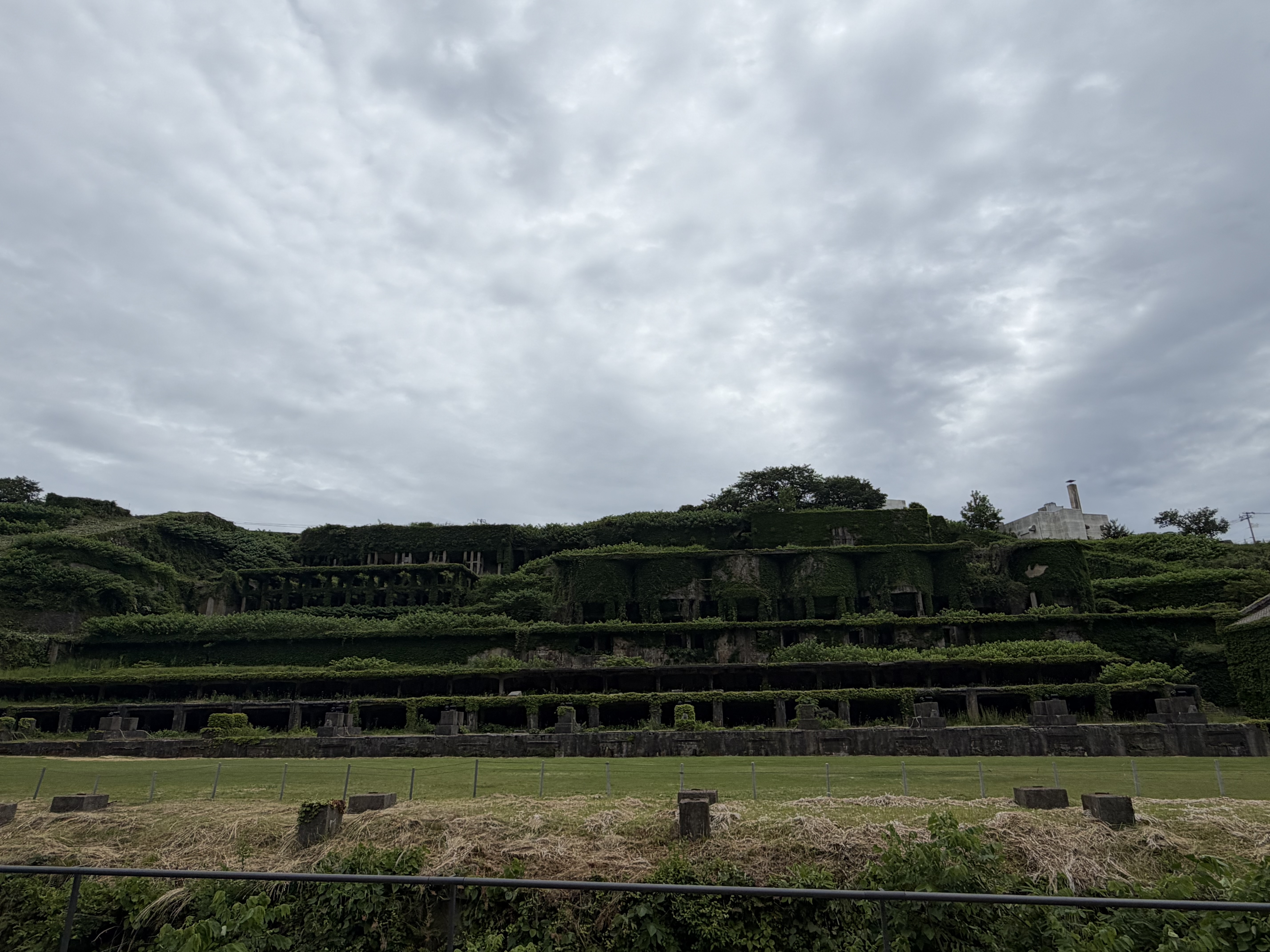 43b1ff4a-883b-4d38-a9a1-ec4c03b04eb9.jpeg
