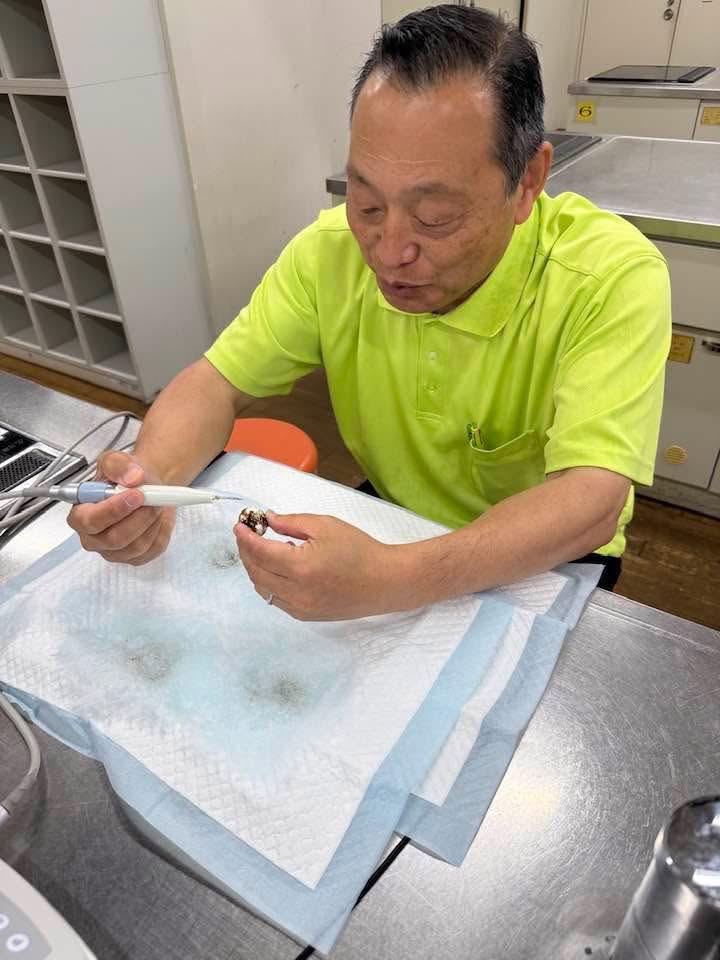 【倉敷市議会議員】