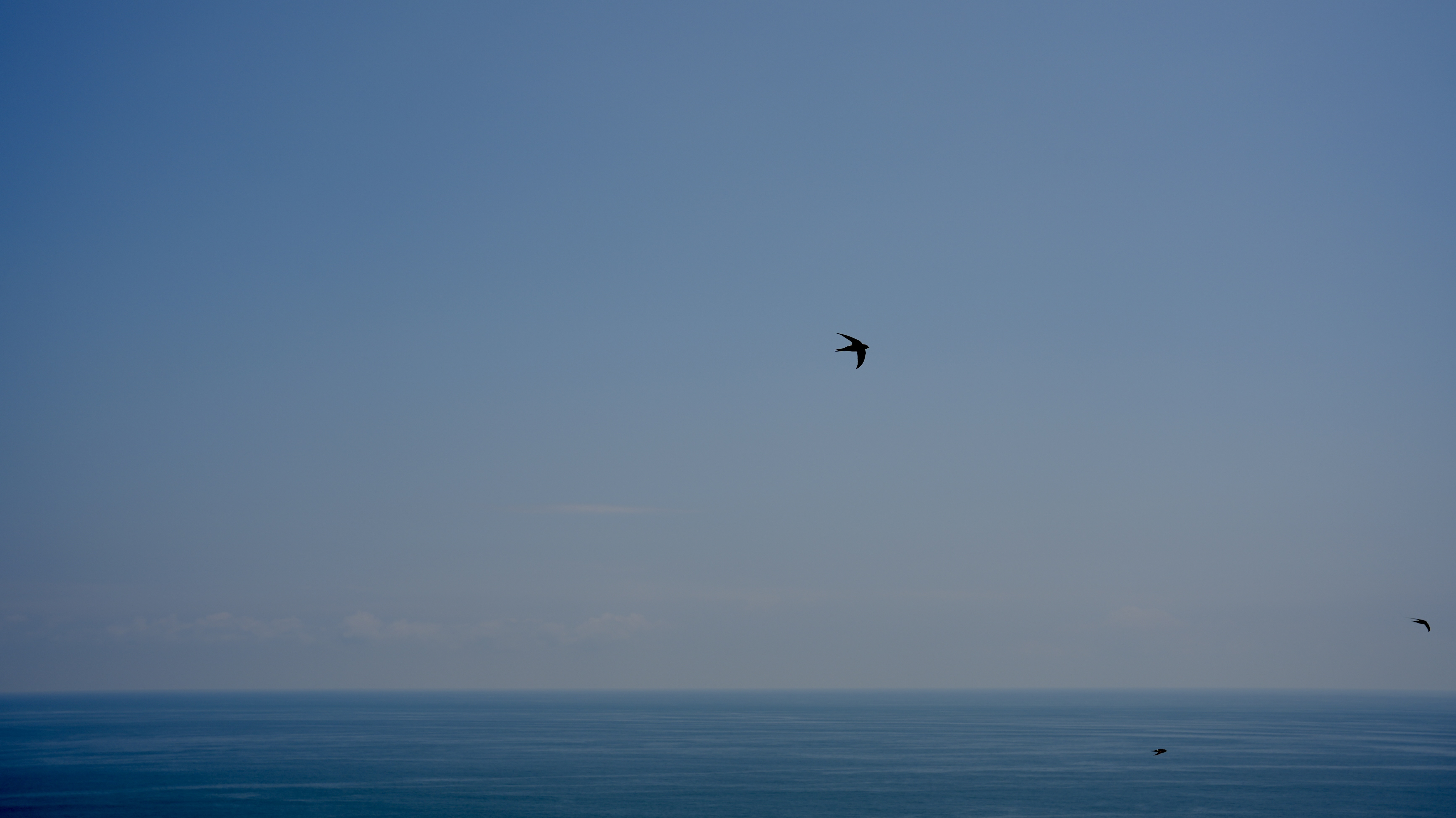 DSC09417.JPG