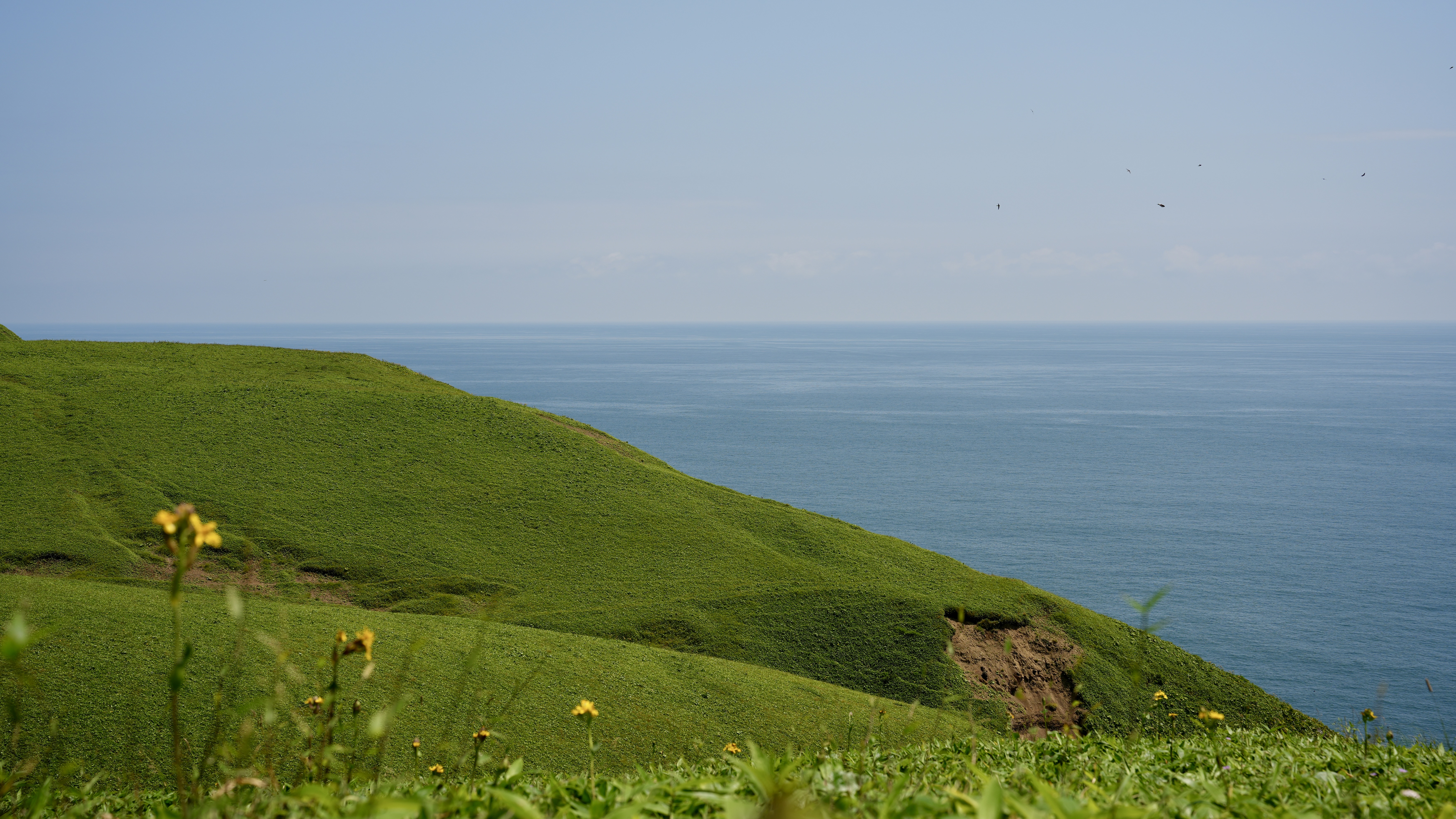 DSC09413.JPG