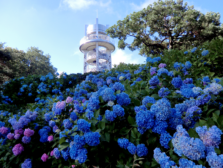 フォトコンテストサンプル写真3