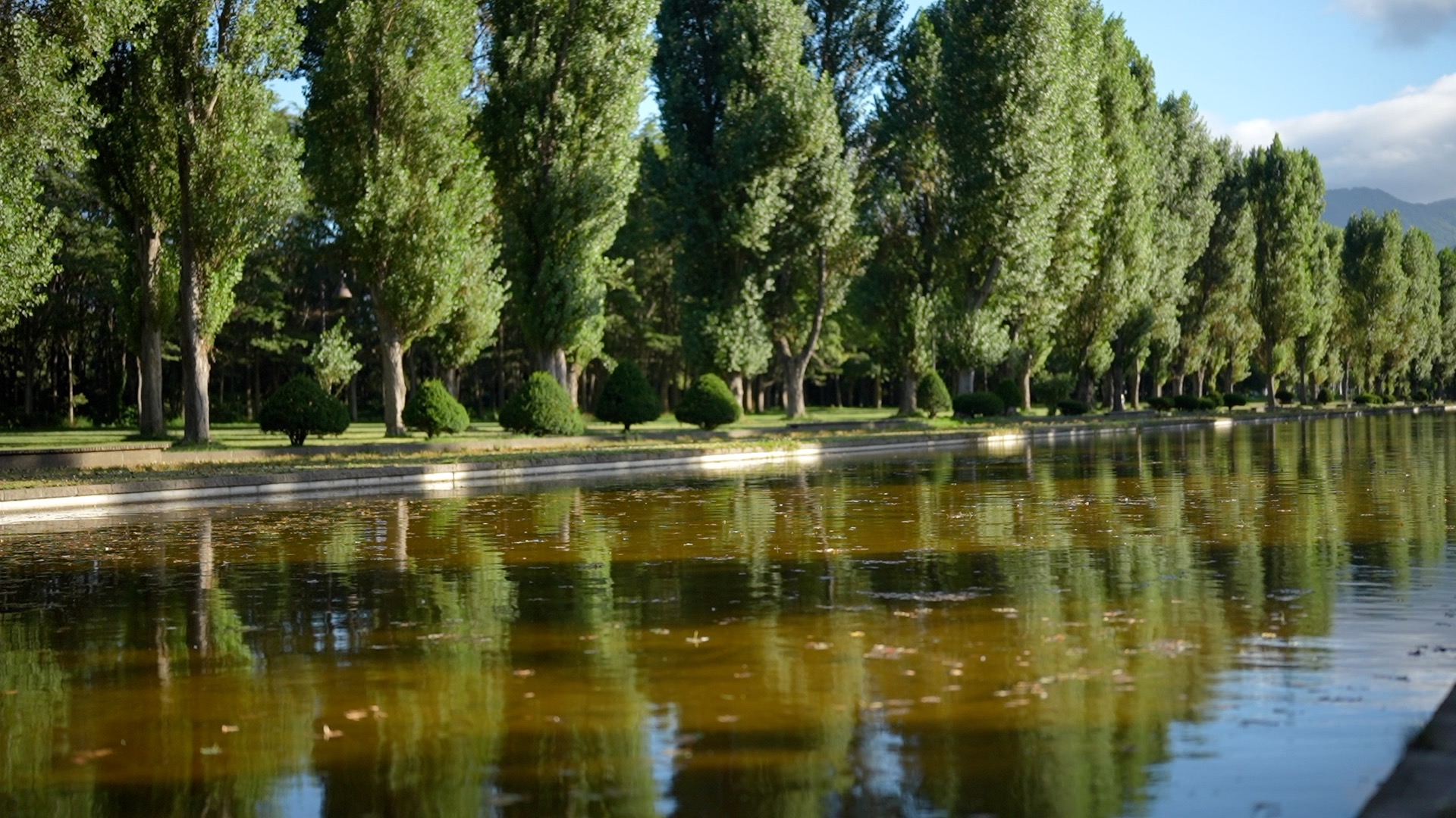 前田 森林 公園