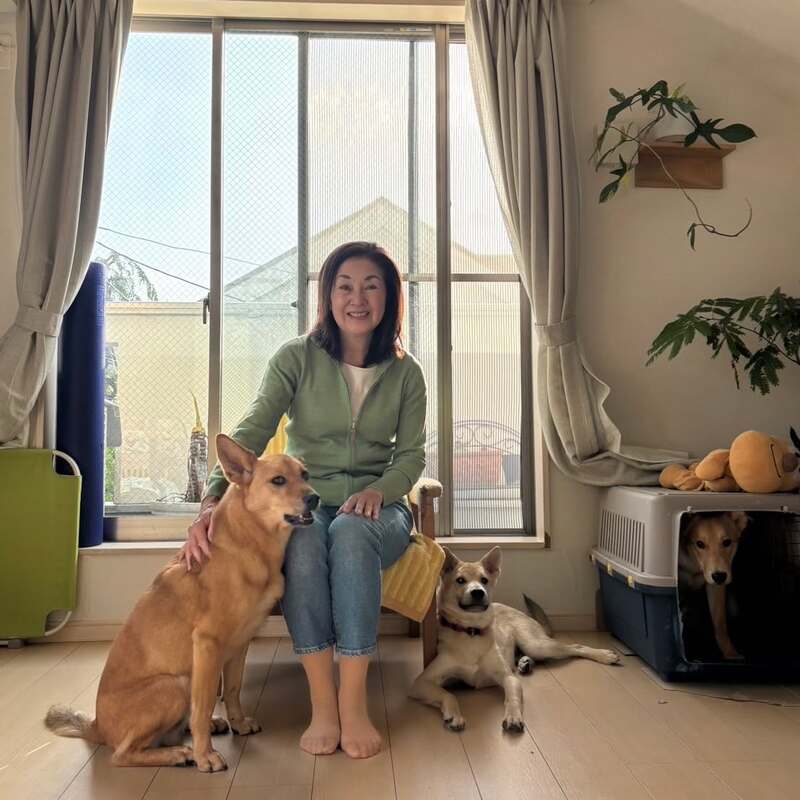 9月20日から26日は「動物愛護週間」?。 - 河野陽子（コウノヨウコ） ｜ 選挙ドットコム