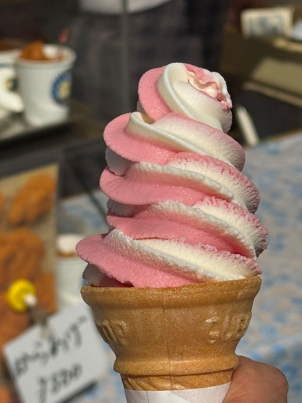 産業祭でもいつものお約束のソフトクリーム、バニラとストロベリー🍓の
